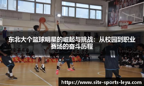 leyusports
